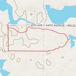 thumbnail for Wildlife Viewing