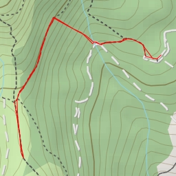 thumbnail for Ciprés de Lawson de la Cebedilla - M-637
