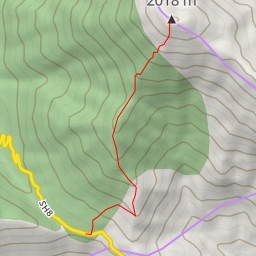 thumbnail for Maja Qores