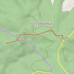 thumbnail for Dębniak