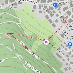 thumbnail for Mutter Gottes - Spreitenbach