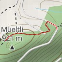 thumbnail for Müeltli
