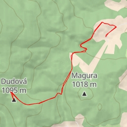 thumbnail for Dudová