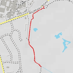 thumbnail for Viewing Platform