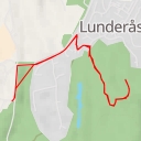 thumbnail for Steinsoppvegen