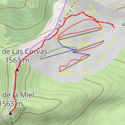 thumbnail for Pico de la Miel