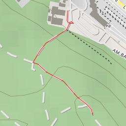 thumbnail for Baumwipfelpfad