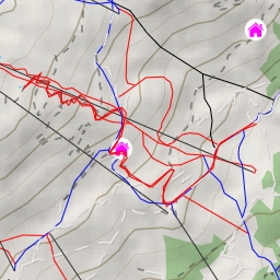 thumbnail for WM Trail - WM Trail