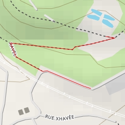 thumbnail for Libellule - Rue Xhavée