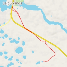 thumbnail for Salt Springs