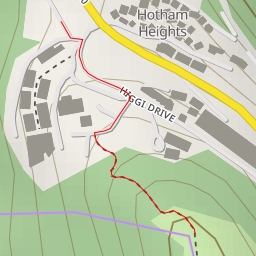 thumbnail for Mount Higginbotham