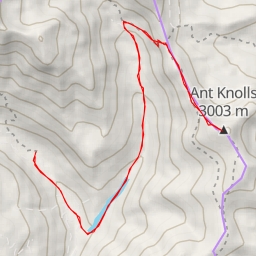 thumbnail for Ant Knolls