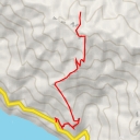 thumbnail for Timber Top