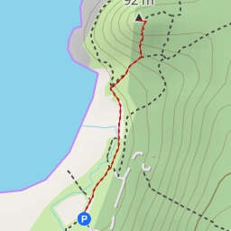 thumbnail for Petón do Castro