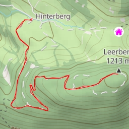 thumbnail for Leerberg