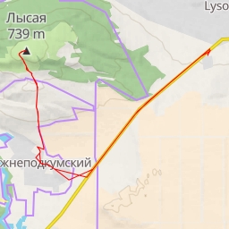 thumbnail for Лысая