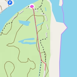 thumbnail for Camí del Joncar