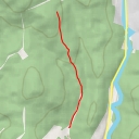 thumbnail for Вид на ліс