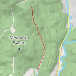 thumbnail for Вид на ліс