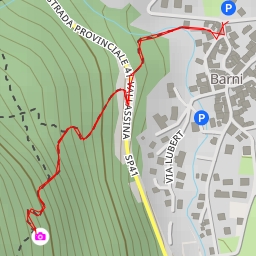 thumbnail for Belvedere Scengher