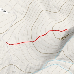 thumbnail for Caps Ridge Trail