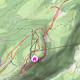 thumbnail for Schneise - Schwende-Rüte