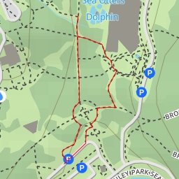 thumbnail for Dolphin