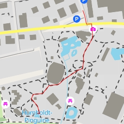 thumbnail for Nutria, Rotbackenschildkröten