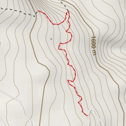 thumbnail for Jalan Kawah Domas (via Kawah Ratu) - Jalan Kawah Domas (via Kawah Ratu)