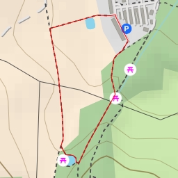 thumbnail for Bruno-Dietze-Ring