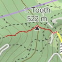 thumbnail for 5. zub