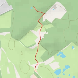 thumbnail for Groene Streep - Groene Streep