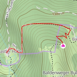 thumbnail for Baldenwegerbuck