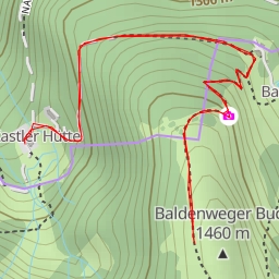 thumbnail for Baldenwegerbuck