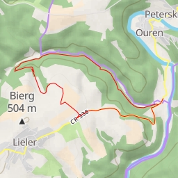 thumbnail for Om Biereg