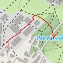 thumbnail for Prinsessedammen