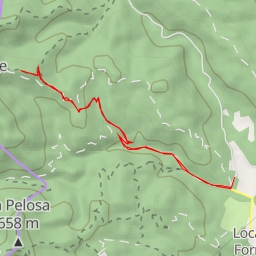 thumbnail for Motto Salvapaglia