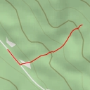 thumbnail for Zarastená turňa