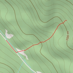 thumbnail for Zarastená turňa