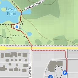 thumbnail for Lower Pond