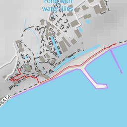 thumbnail for Princess Ileana garden - Чемширения тунел