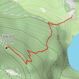 thumbnail for Präwald