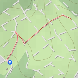 thumbnail for Obere Zeitenbach - Obere Zeitenbach