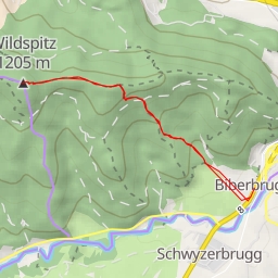 thumbnail for Wildspitz