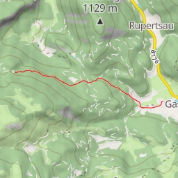 thumbnail for Steinberg