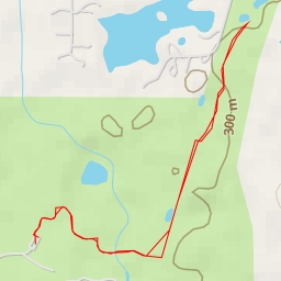 thumbnail for Ski Trail - Ski Trail