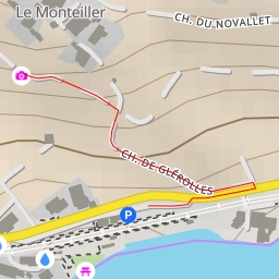 thumbnail for Chemin des Paleyres