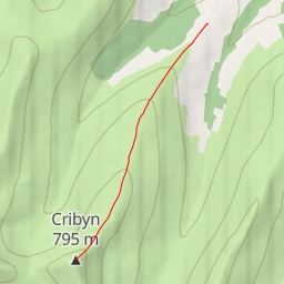 thumbnail for Cribyn