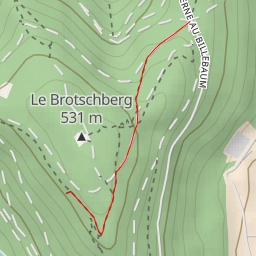 thumbnail for Chemin Forestier du Hirschberg