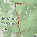 thumbnail for Sp Marcellina-M. Morra